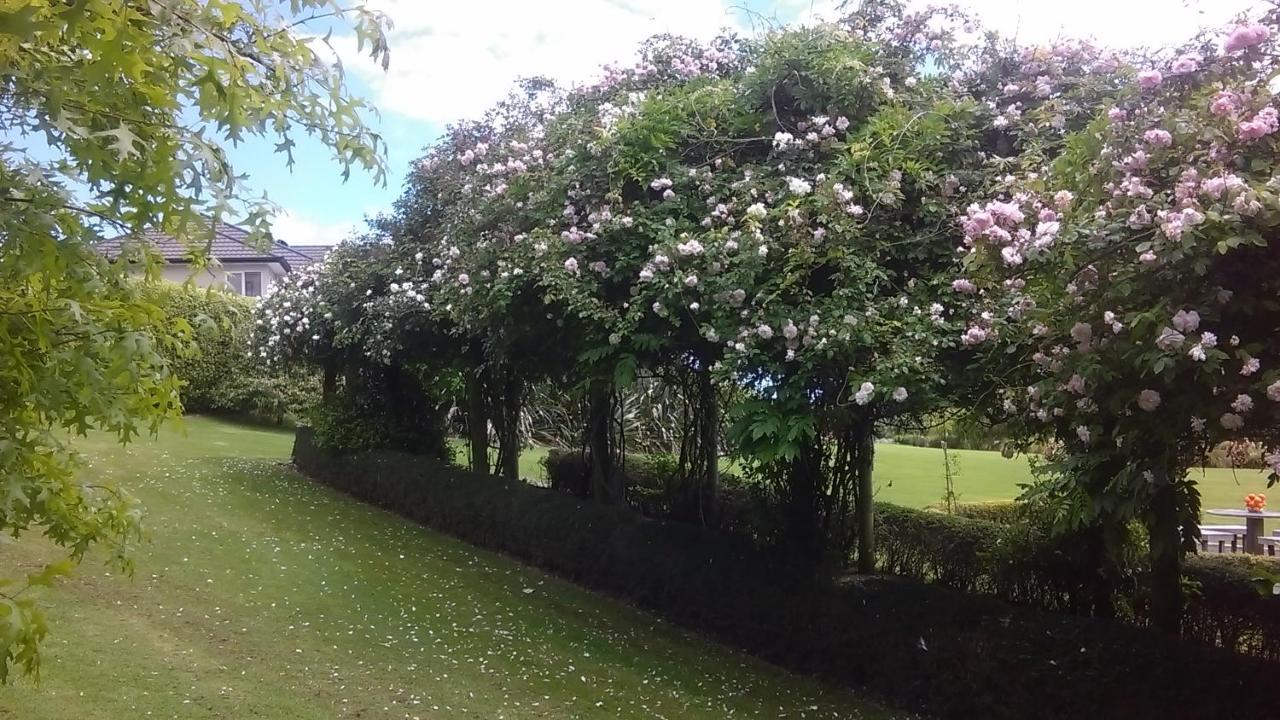 Shurinji Whanganui Esterno foto